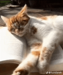 a cat is laying on top of a book with its eyes closed