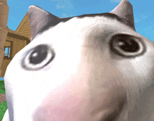 a close up of a cat 's face with a house behind it