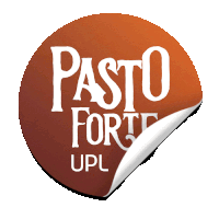 a sticker with the words pasto forte upl on it