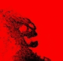 a red background with a black skull on it .