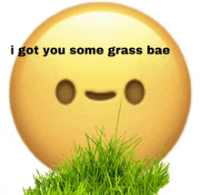 a smiley face with the words i got you some grass bae above it