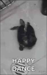 a black and white photo of a turtle in a sink with the words `` happy dance '' written on it .