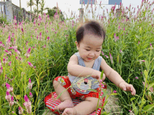 a baby is sitting in a field of flowers and wearing a shirt with a bear on it