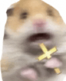 a blurry picture of a hamster with a cross in its mouth .