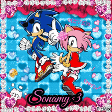 a picture of sonic the hedgehog and amy the hedgehog with the name sonamy 3