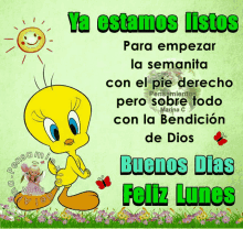 a picture of tweety with the words ya estamos listos