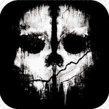 a black and white picture of a skull with a crack in it