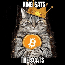 a cat wearing a crown is holding a bitcoin coin .