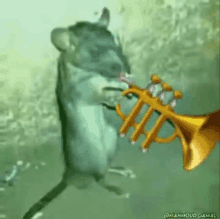 a cartoon mouse is playing a trumpet in a video .