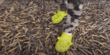 a person wearing a pair of yellow shrek crocs walking on a pile of bullets