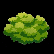 a cartoon illustration of a green bush with lots of leaves on a black background .