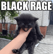 a person is holding a small black kitten with the words black rage written above it