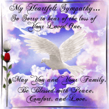 a sympathy card with a white dove flying in a cloudy sky