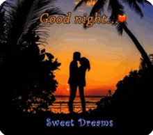 a couple kissing on the beach at sunset with the words `` good night , sweet dreams '' .