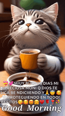 a cat is holding a cup of coffee and says " good morning "