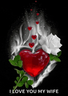 a red heart and a white rose with the words " i love you my wife "