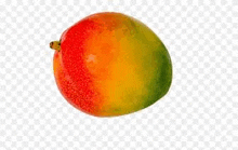 a mango with a red , yellow and green peel on a white background .