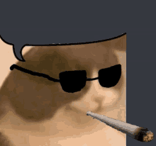 a cat wearing sunglasses smoking a cigarette next to a speech bubble