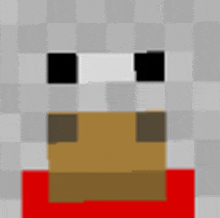 a close up of a minecraft character 's face with a red sweater on .