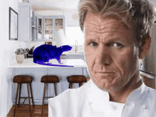 a man in a chef 's uniform looks at a blue rat in a kitchen