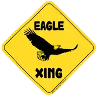 a yellow sign with an eagle and the words eagle xing on it