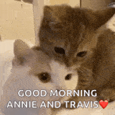 a couple of cats are sitting next to each other with the words good morning annie and travis written on the bottom .