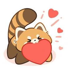 a cartoon illustration of a red panda holding a heart in its mouth .