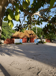 a house with a thatched roof sits in the middle of a dirt field