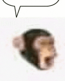 a blurry picture of a monkey 's face with a speech bubble above it .