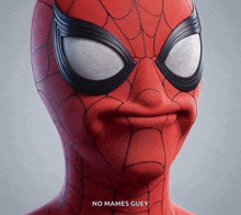 a close up of a spider man 's face with the words no mames guey on the bottom