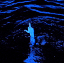 a person is giving the middle finger in the water .