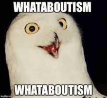 a snowy owl is making a funny face with its mouth open and says whataboutism whataboutism .