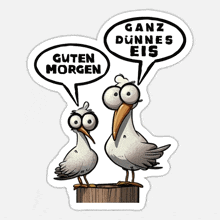 two seagulls with speech bubbles saying guten morgen and ganz dunnees eis