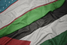 the flags of the united states of america and the united arab emirates are waving in the wind