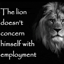 a black and white photo of a lion with the words " the lion does n't concern himself with employment " below it