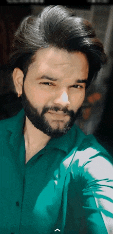 a man with a beard wearing a green shirt looks at the camera