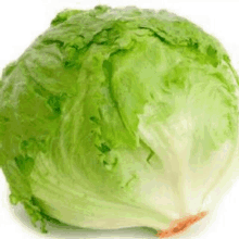 a close up of a lettuce head on a white surface .