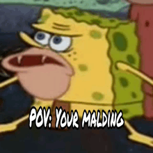 a cartoon of spongebob with the words pov your malding below him