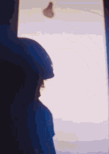 a silhouette of a person standing in front of a window .