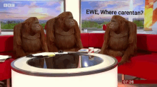 three orangutans are sitting on a couch in front of a round table and a sign that says ewe where caretan