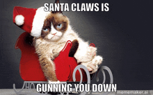 a grumpy cat wearing a santa hat is sitting in a sleigh