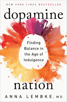 the cover of a book called dopamine nation by anna lembke