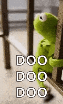 kermit the frog is sitting on a railing looking out a window and saying doo doo doo .