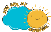 a sticker that says you are my sunshine on it