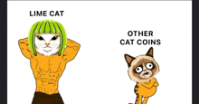 a cartoon of a lime cat next to a grumpy cat coins