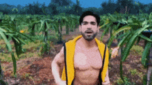 a shirtless man in a yellow vest is standing in a field .