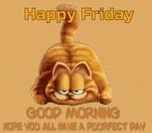 a picture of garfield with the words happy friday good morning hope you all have a perfect day below it