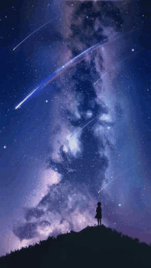 a person standing on a hill looking up at a starry night sky