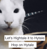 a picture of a cat with the words let 's hightale it to hytale hop on hytale below it