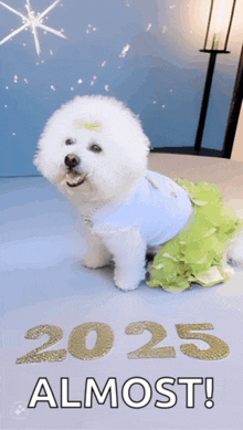 a small white dog wearing a blue shirt and green skirt is sitting in front of a sign that says 2025 almost !